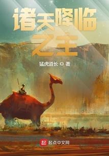 5102区域管理员
