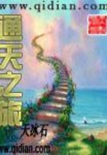沈妃传