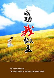 矢车菊的夏天