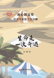 流浪画家