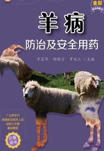 伊落之巅