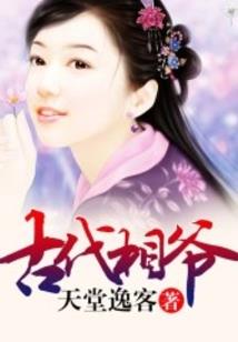 天命圣骑