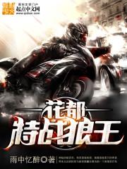 混沌动九天