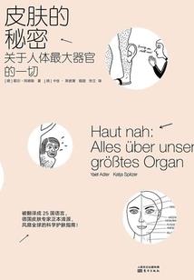 追击张绣