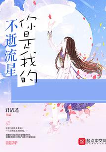 九洲侠影传