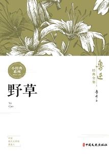你我不再见