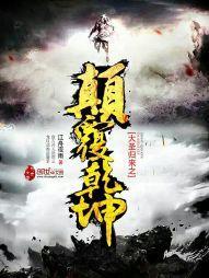 七属性武神