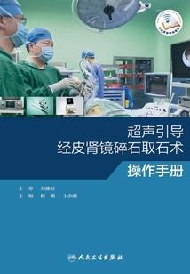 爱与王先生