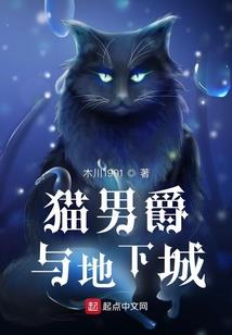 群聊与评论