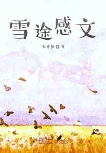 总裁的逃犯妻子