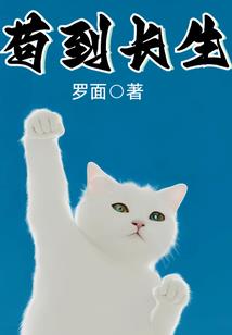 复仇公主兰曦
