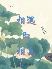 校草是女生：邪魅黑客邪少
