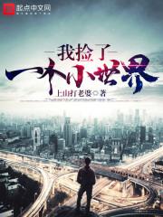 都市之生命的异狂