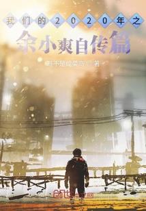 主宰辅助系统