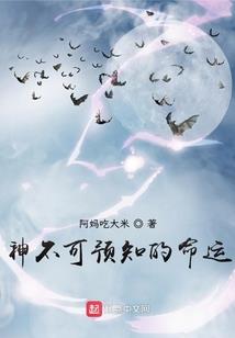 代码V
