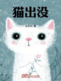 代号序列零