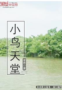 斗踪