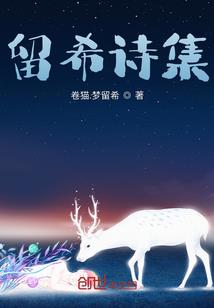 极光之泪之地狱圣光