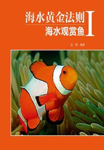薄荷味的花语