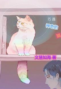 神风剑神