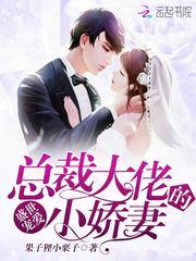 凡人之墨家女婿