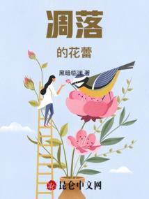 作为一名侦探的日常记录