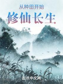 局布大师