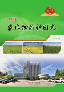 境遇之夜与星辰