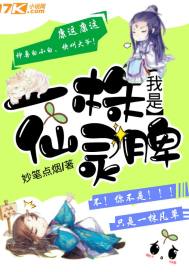 星辰之光，永恒之夜