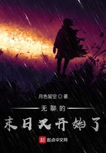 笨笨的工作史