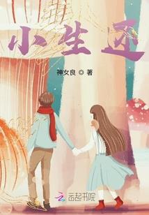 刹那战纪