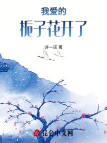 影帝现任是前妻