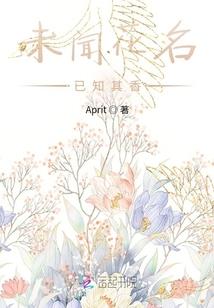 两宋风云史