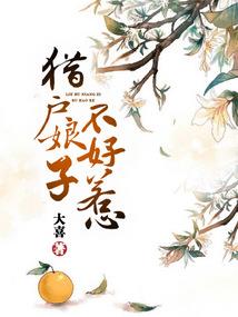 史上最强圆梦系统