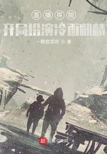 麟影侠踪