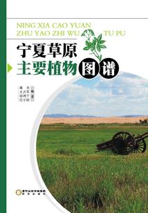 星武问道