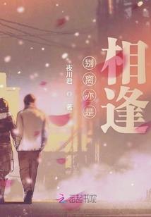 《魂之巅峰之王者归来》