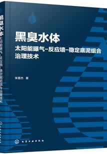 急训豪门名媛