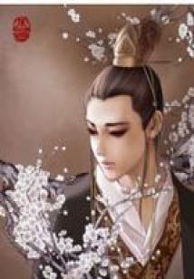 天弃龙少