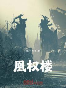 z计划