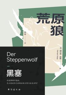 诗散杂书