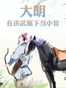 市长传奇之铁血柔情