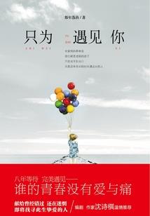 海贼王之风起苍岚