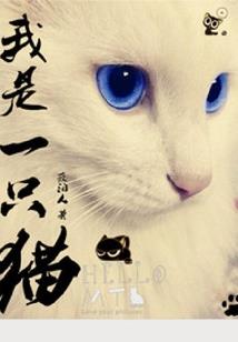 寻道不孤