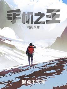 游戏贩卖商