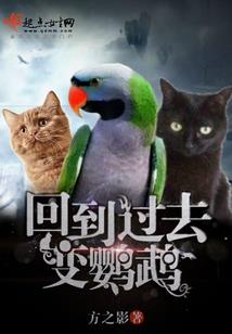 魔法大陆传奇