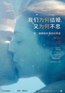梦境的旅行