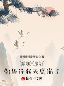 不负遇见霸道总裁轻点宠