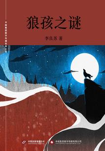 风吹不过那片海
