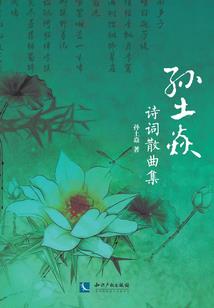 第九光环